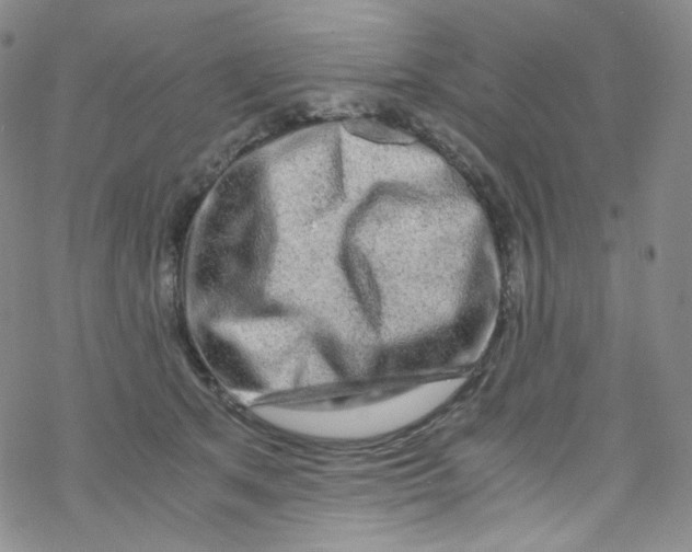 X0000076350513200610272123