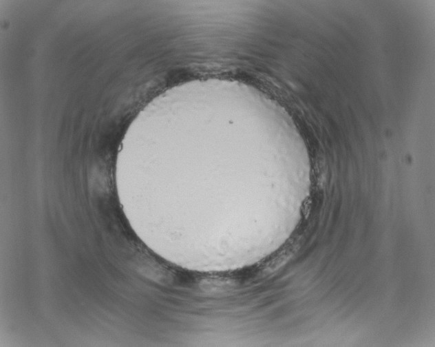 X0000076350515200610272123