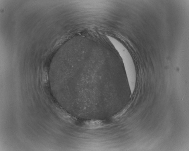 X0000076350517200610272123