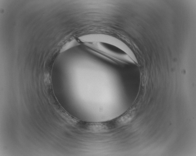 X0000076350521200610272123