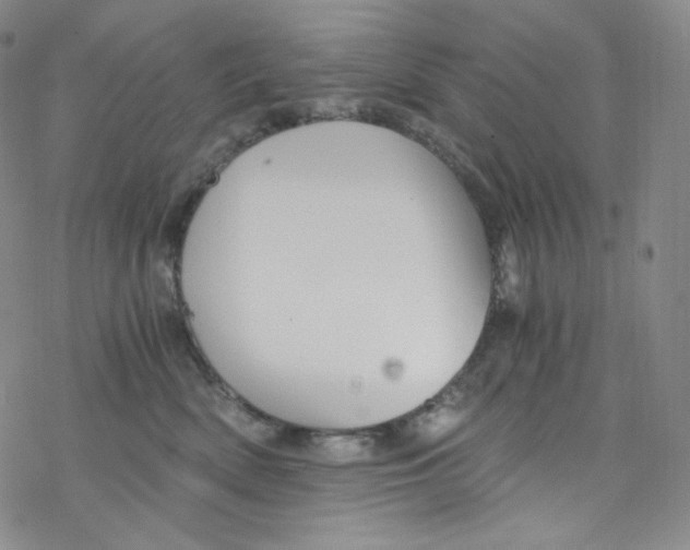 X0000076350522200610272123