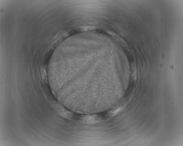 X0000076350523200610272123