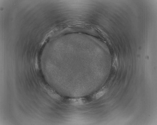 X0000076350524200610272123