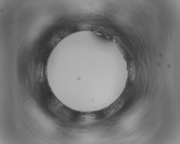 X0000076350525200610272123