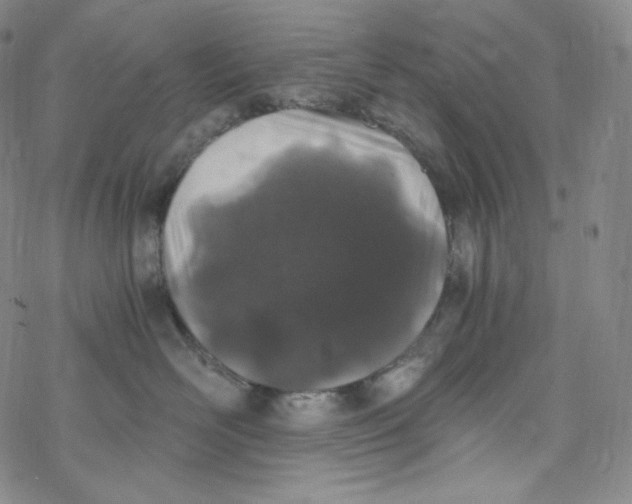 X0000076350526200610272123