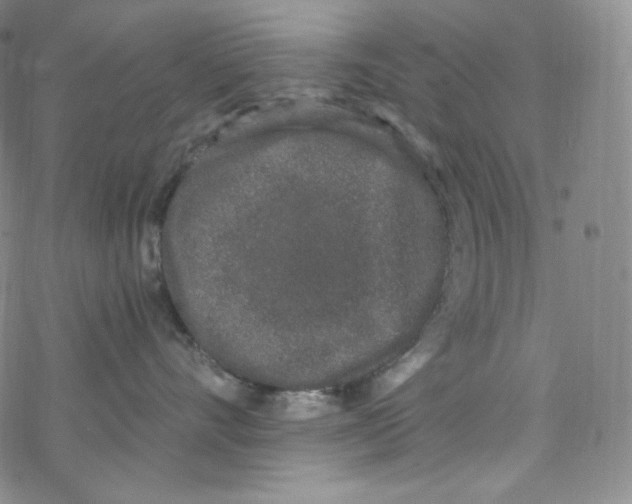 X0000076350528200610272123