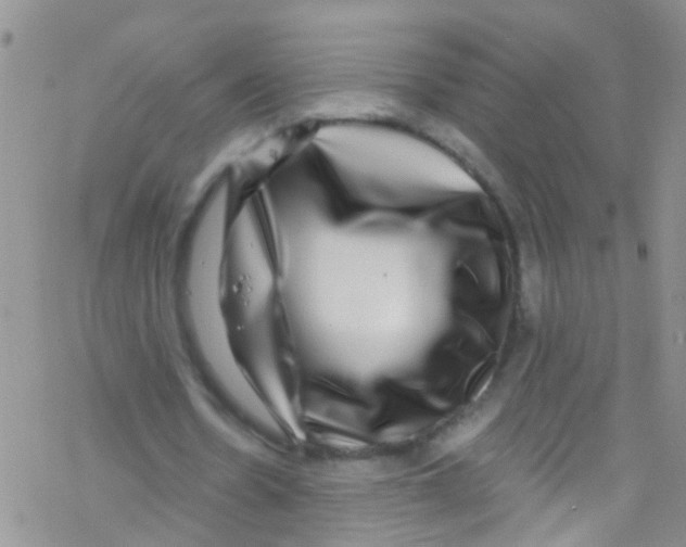 X0000076350530200610272122