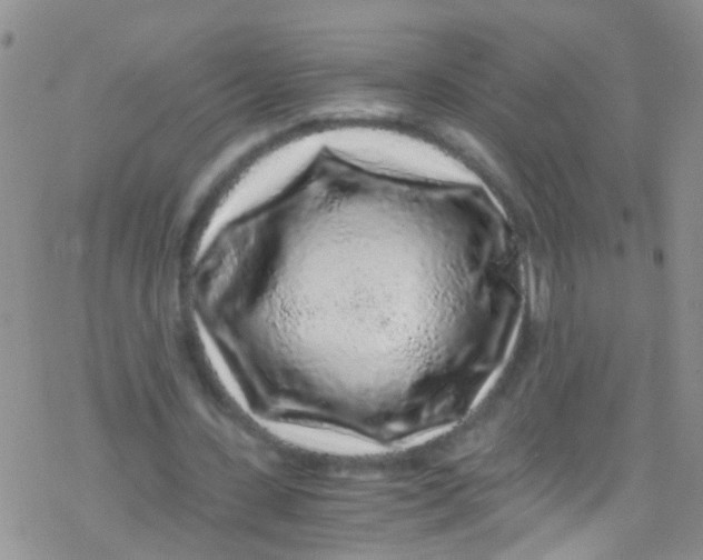 X0000076350531200610272122