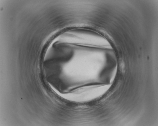 X0000076350536200610272122