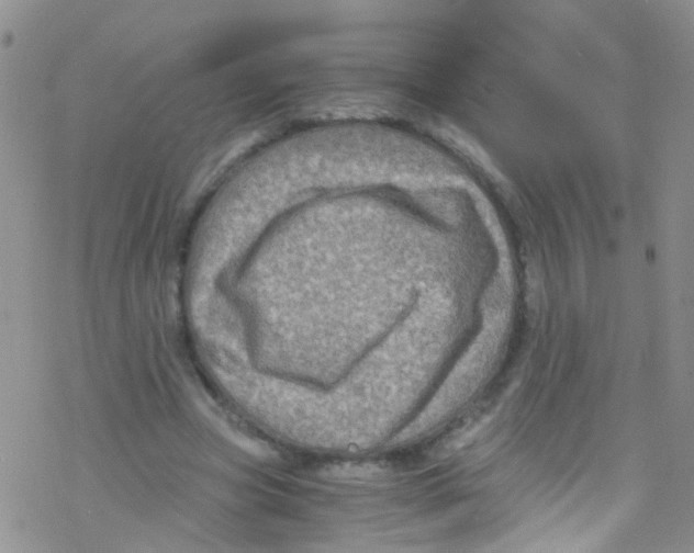 X0000076350537200610272122