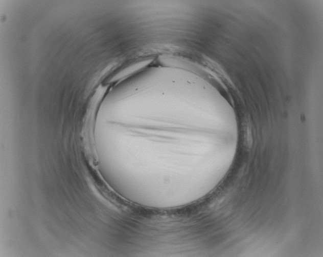 X0000076350538200610272122