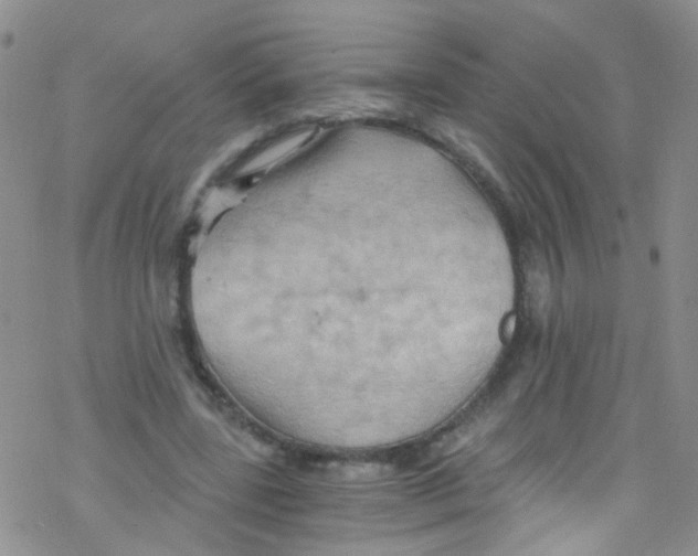 X0000076350539200610272122