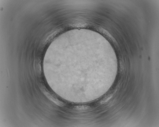 X0000076350541200610272122