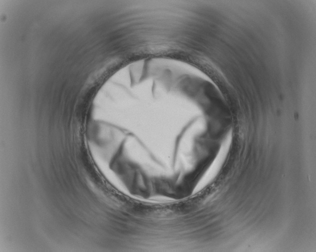 X0000076350542200610272122