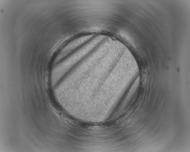 X0000076350544200610272122