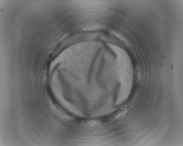 X0000076350546200610272122