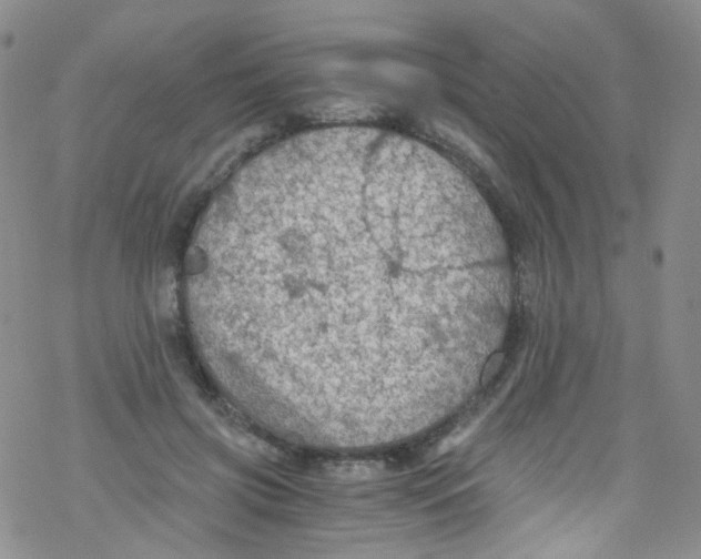 X0000076350549200610272122