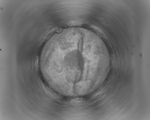 X0000076350550200610272122