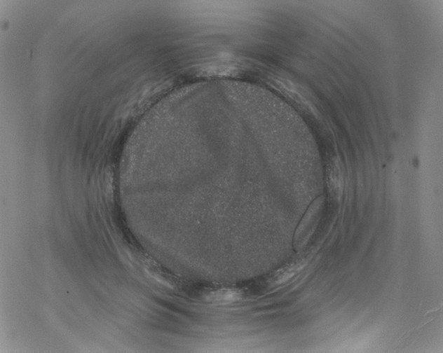 X0000076350551200610272122