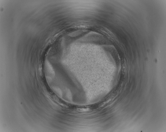 X0000076350552200610272122