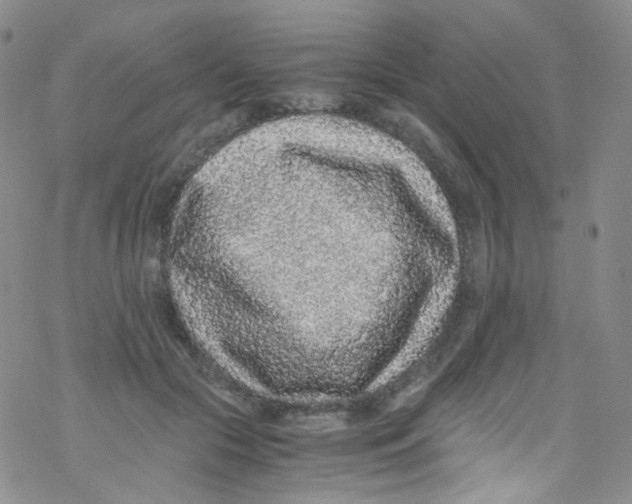 X0000076350553200610272122