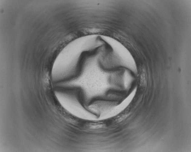 X0000076350555200610272123