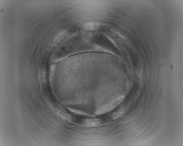 X0000076350556200610272123