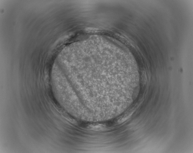 X0000076350557200610272123