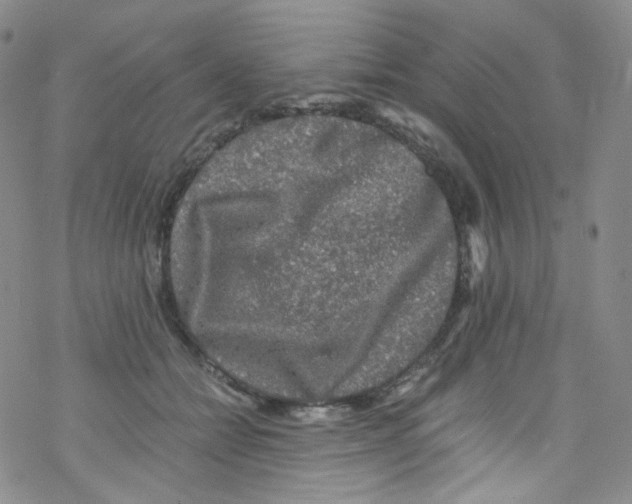 X0000076350558200610272123