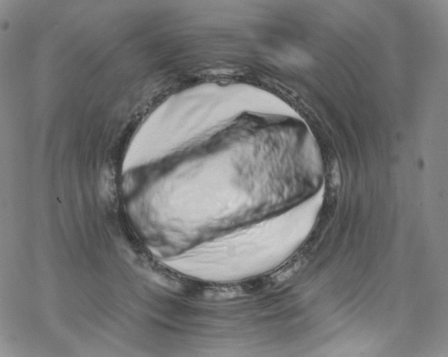 X0000076350559200610272123