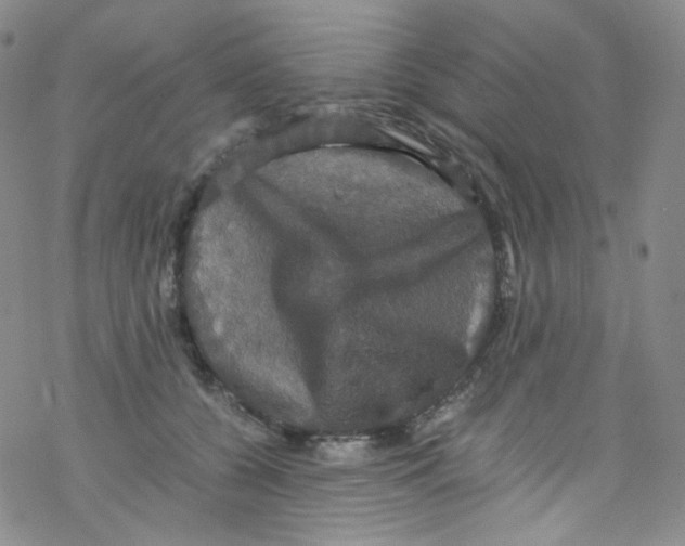 X0000076350560200610272123