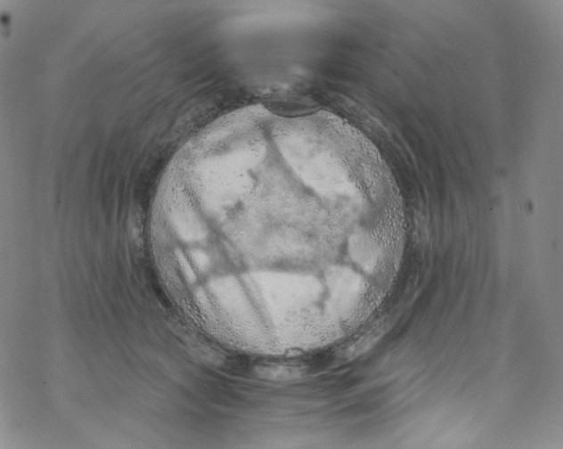 X0000076350561200610272123