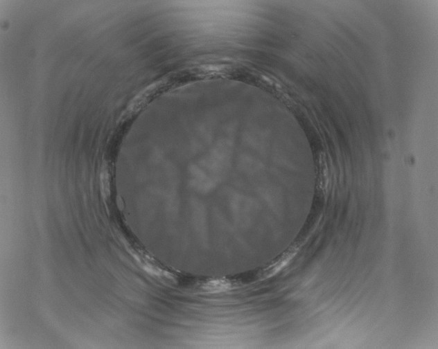 X0000076350562200610272123