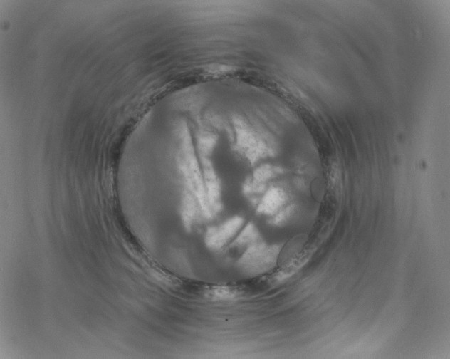 X0000076350565200610272123