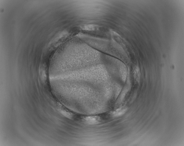 X0000076350566200610272123