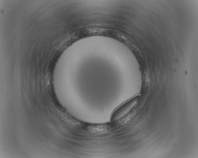 X0000076350567200610272123