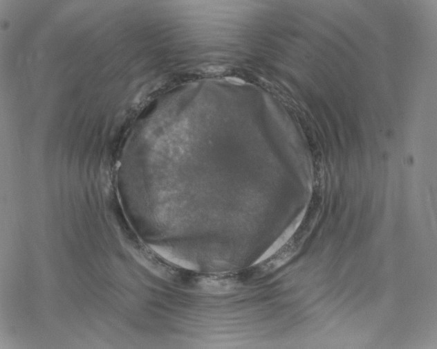 X0000076350568200610272123