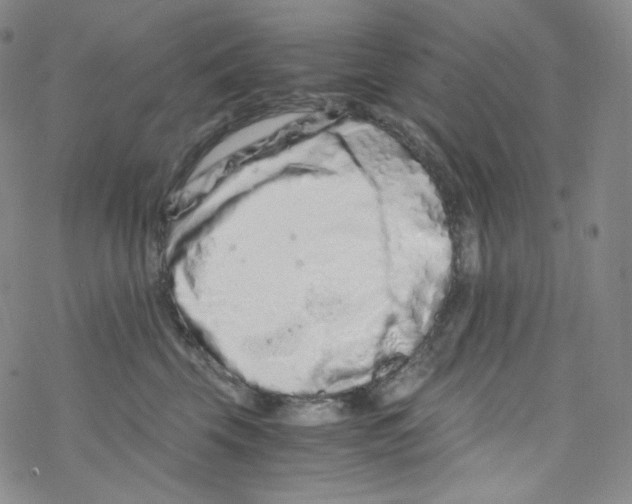 X0000076350569200610272123