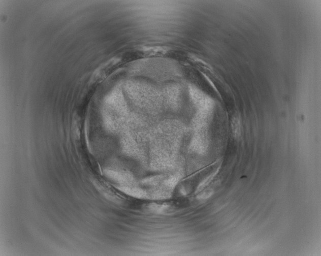 X0000076350570200610272123