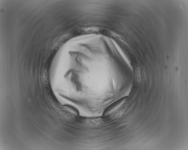 X0000076350571200610272123