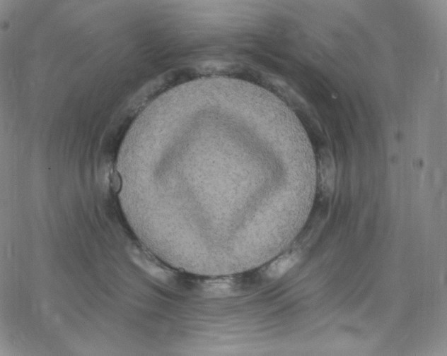 X0000076350574200610272123