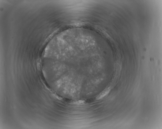 X0000076350576200610272123