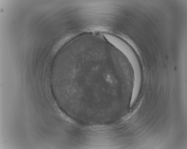 X0000076350577200610272122