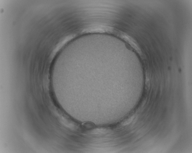 X0000076350578200610272122