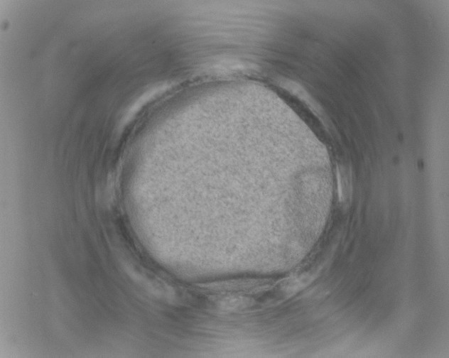 X0000076350579200610272122