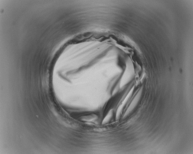 X0000076350580200610272122