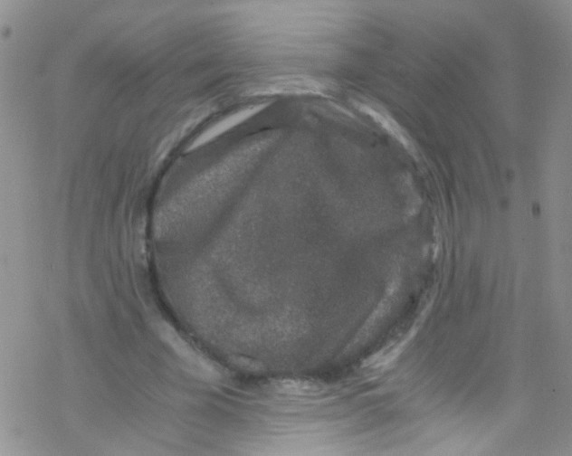 X0000076350585200610272122