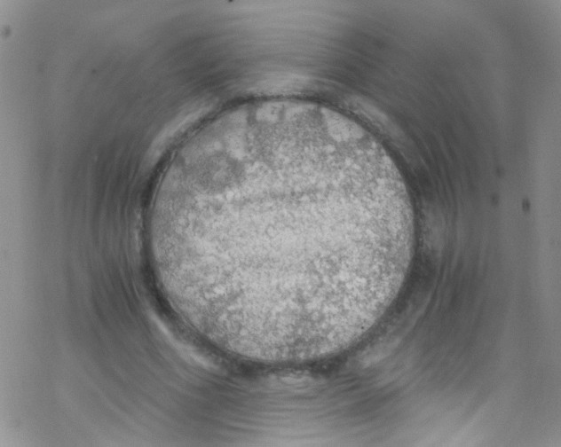 X0000076350586200610272122