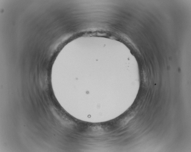 X0000076350588200610272122