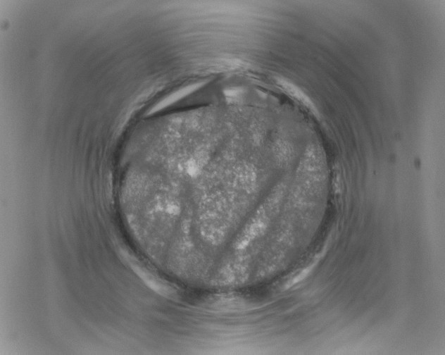 X0000076350589200610272122